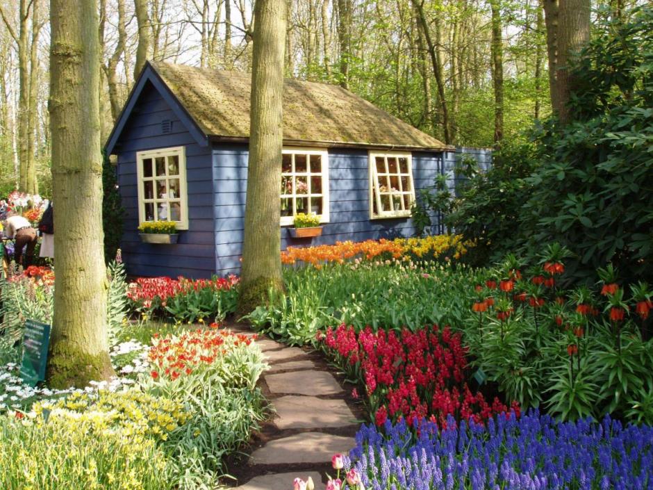 perfecta Fenster: Aktuelles - Gartentipps