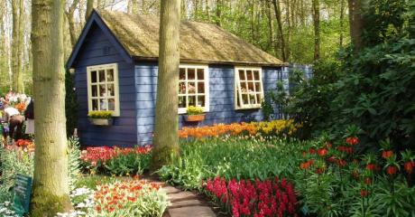 perfecta Fenster: Aktuelles - Gartentipps