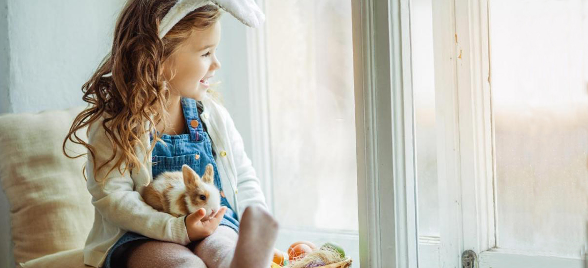 perfecta: Türen und Fenster wechseln ohne Dreck