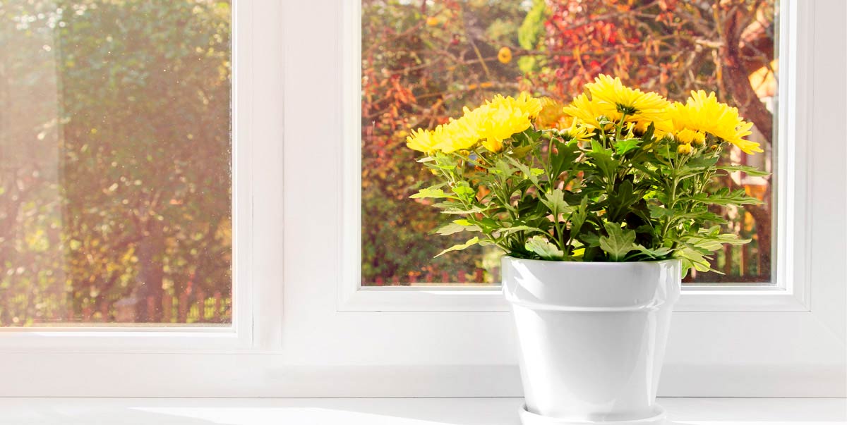 Perfecta Fenster & Türen Aktuelles Harmonisch bunt