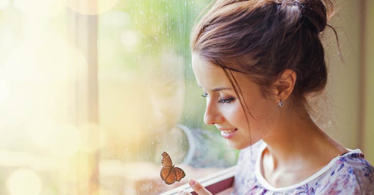 perfecta Produktwelt Fenster
